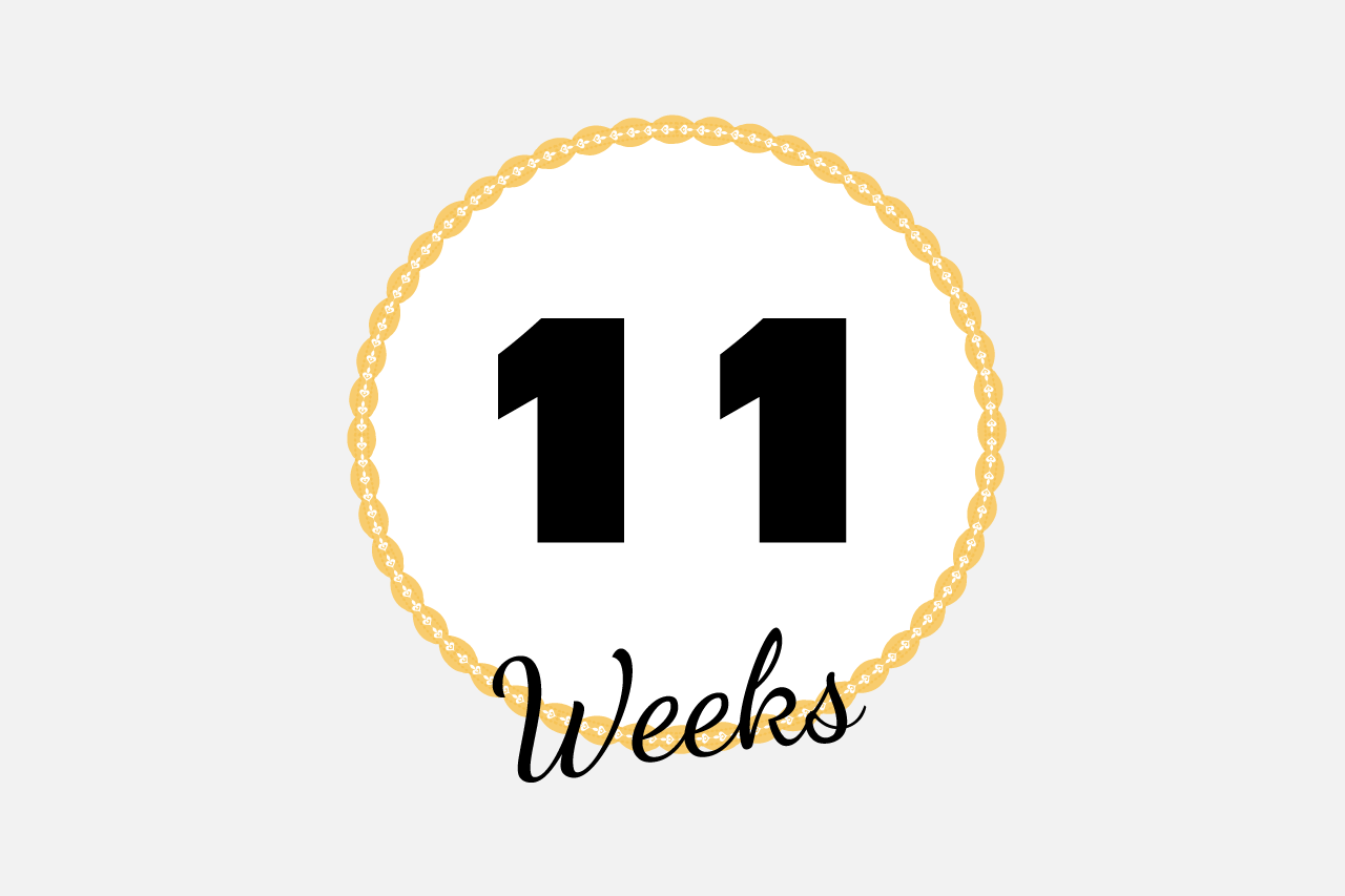 プレママ生活記録を開始-妊娠11週