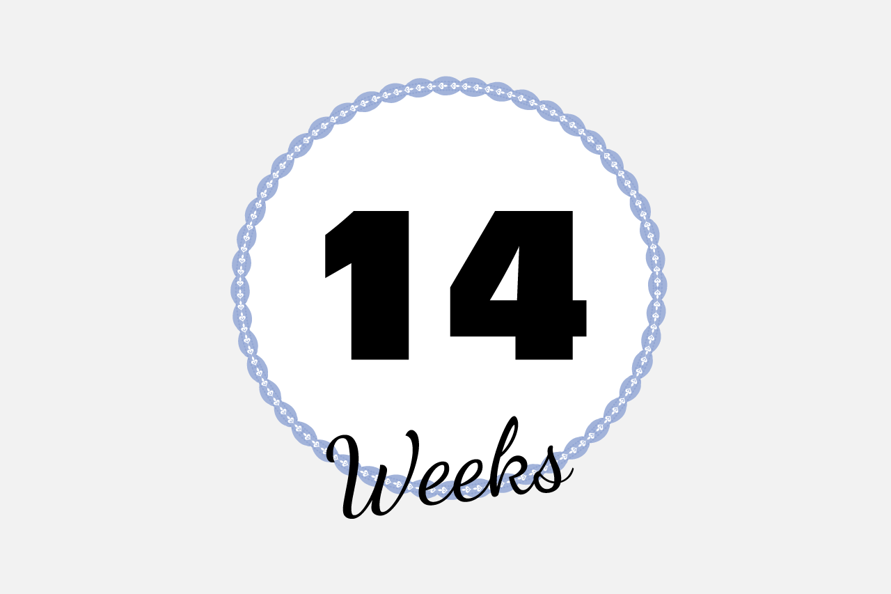 食欲があります-妊娠14週