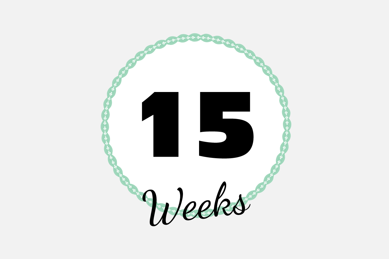 体がだるいので湖へ-妊娠15週