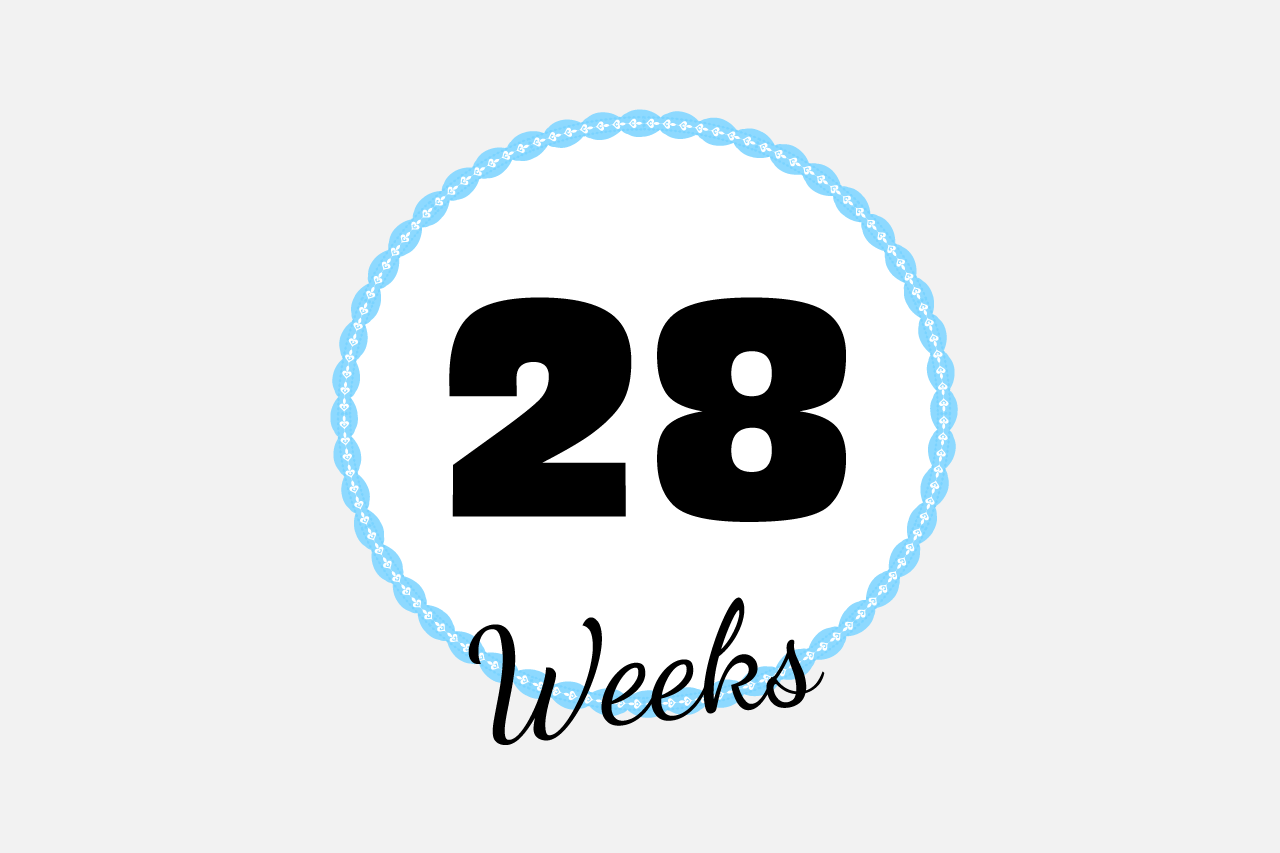 海から帰って定期健診-妊娠28週