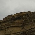 ワニの形の岩