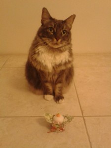 明けましておめでとうございます。